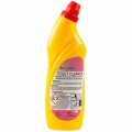 TOILET CLEANER 10001.jpg